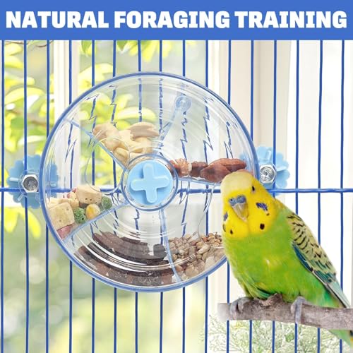 BNOSDM Bird Foraging Toy, Enrichment Parrot Puzzle Toys Transparent - color: Blue
