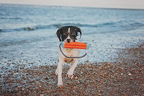 Chuckit! Amphibious Dog Toys Bundle - Bumper Fetch Toy (Medium) + Flying Squirrel Fetch Toy (Medium)