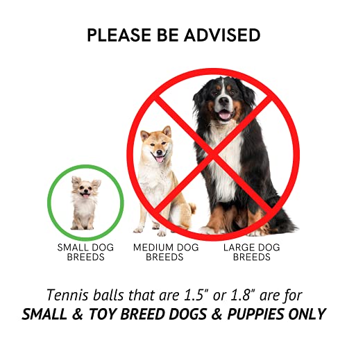 Midlee Pink 1.5" Mini Squeaky Dog Tennis Balls- Set of 12