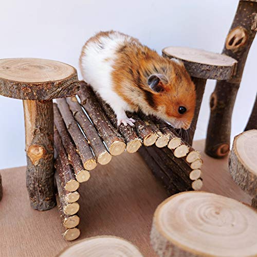 Wooden Hamster Bridge, Small Animals Climbing Ladder Activity Set Platform Ramps Playground Toys for Mouse Gerbil Rat Sugar Glider Dwarf Syrian Hamster - style: Platform of climbing ladder and bridge