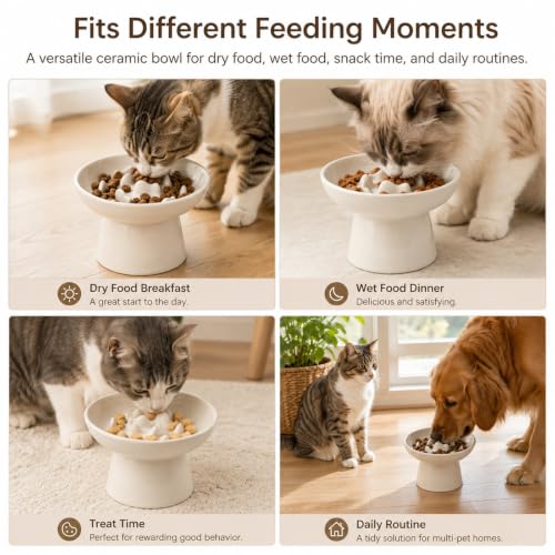 Ceramic Slow Feeder Cat Bowl, 6 Inch Elevated Cat Slow Feeder Bowl - color: White