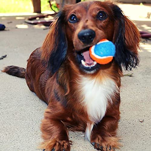 Midlee Squeaky Mini Tennis Ball for Dogs 1.5"- Pack of 12 (Orange/Blue) - color: Orange
