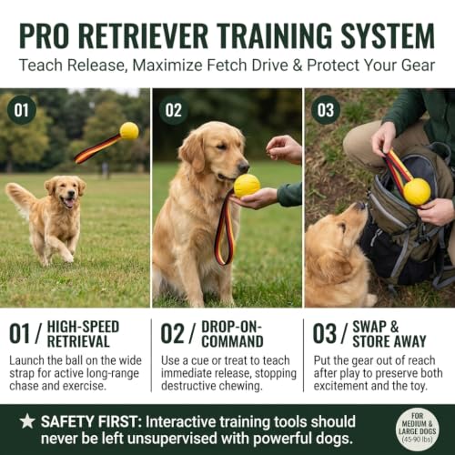 Dog Ball on Strap, Floating EVA Fetch Toy for Large Dogs 45+ lb - size: Large