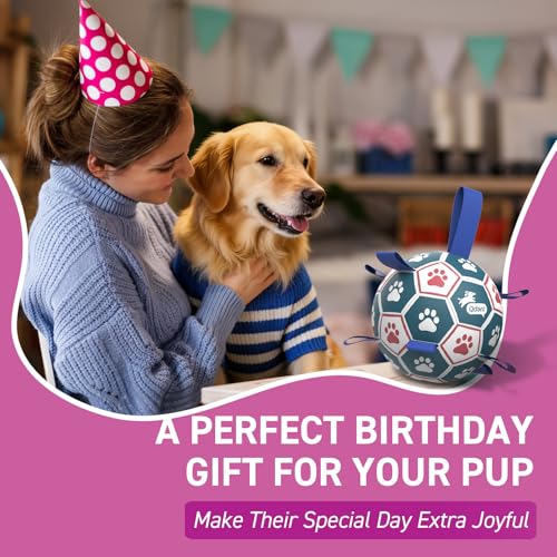 QDAN Large Dog Toys, 8 Inch Durable Balls for Dogs, Soccer Ball with Straps - color: Red-Blue, size: Large Size 3 (8 Inch)
