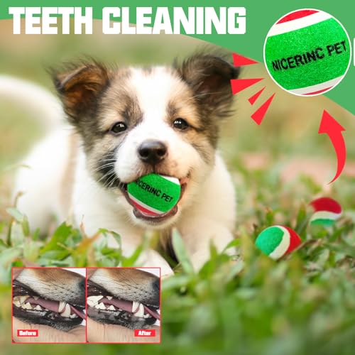 X-Small Dog Tennis Balls Dog Toys Ball 1.5" Pack of 12, Fit Ball Launchers,Dog Toys - color: Red and green colors tennis balls
