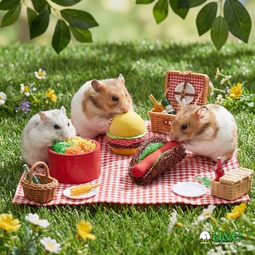 A&E Cage Co Summer Cookout Chew Toys for Hamsters & Small Pets, NB053