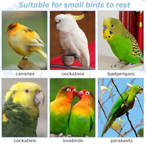 PIVBY Bird Perches for Cage Colorful Parrot Stand Toy Platform Paw Grinding Stick for Small Medium-Sized Bird Parakeet Cockatiel Conure Budgies Lovebird Canary Colors Vary Pack of 3