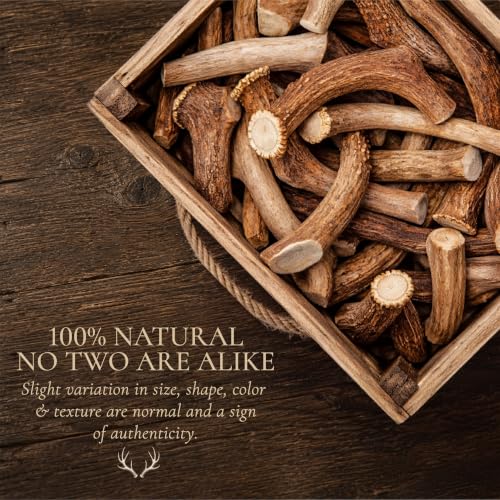 WhiteTail Naturals Whole Deer Antler Dog Chew - Medium 5-6" - 1Ct. - size: Medium (Pack of 1)