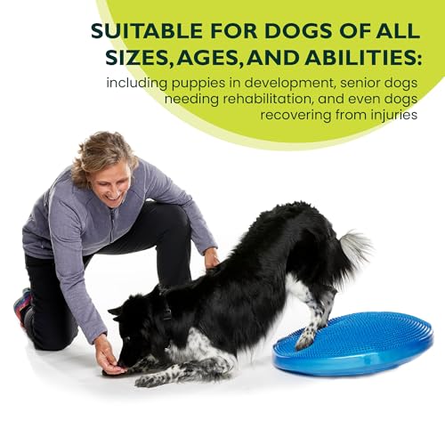 FitPaws® Dog Balance Disc, Exercise Equipment, Rehabilitation + Training, - color: Blue, size: 22"
