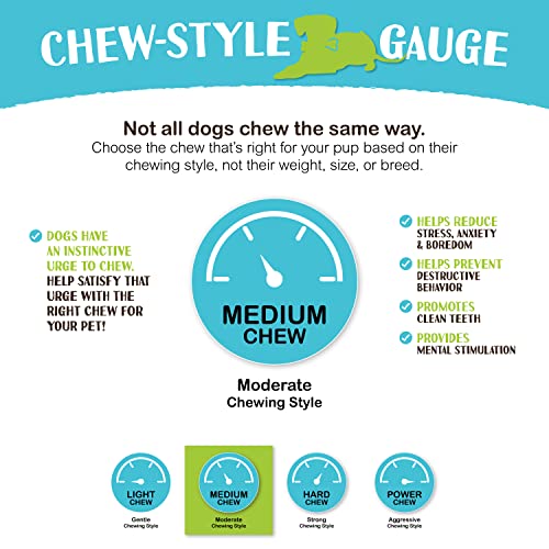 Raw Paws Thin Bully Sticks for Small Dogs, 6-Inch (5-Count) - Low Odor - size: 5 Count (Pack of 1)