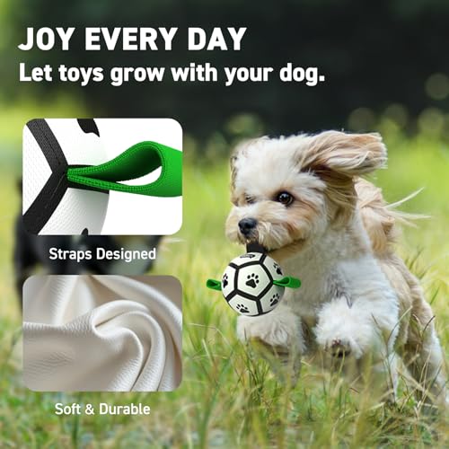 QDAN Small Dog Toys, Puppy Balls, Dog Balls with Straps for Small Breed - color: Green-Black, size: Extra Small Size 0 (3.5 Inch)