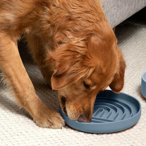 Slow Feeder Dog Bowl - Silicone Dog Bowl, Large, 9.5" x 1.5" - Ocean - color: Ocean - Rainbow Design, size: Large (9.5” Across and 1.5” Tall)