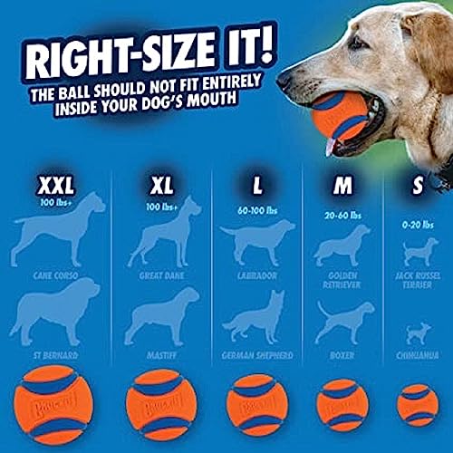 Chuckit! Ultra Ball Dog Toy - Size XXL - for Dogs 100+ lbs - Made from Durable Rubber - Super Bouncy - Floats in Water - 4-inch Diameter - XXL (Pack of 12) - color: Ultra, size: XXL (Pack of 12)