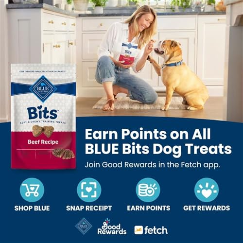 Blue Buffalo Bits Soft Dog Treats for Training, Made with Natural Ingredients & Enhanced with DHA, Chicken Recipe, 19-oz Bag (Pack of 4) - size: 19 Ounce (Pack of 4)