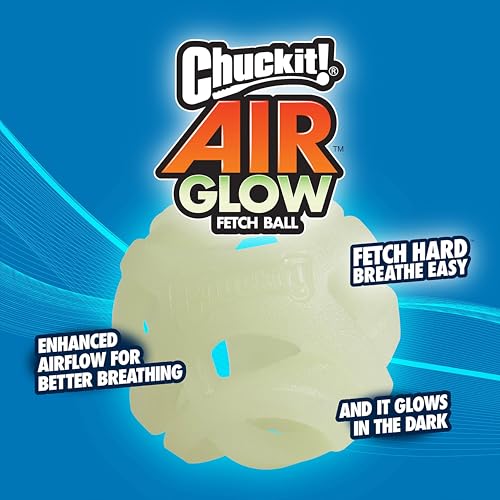 Chuckit! Air Glow Fetch Ball Dog Toy, Medium 2.5in, 2 Pack - size: Medium