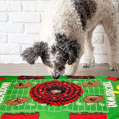 NFL San Francisco 49ers Dog Snuffle Mat – Interactive Pet Slow Feeder, Football Field Design Food Puzzle Toy for Dogs & Cats, Foraging Activity Mat for Smarter Feeding - color: SAN FRANCISCO 49ERS