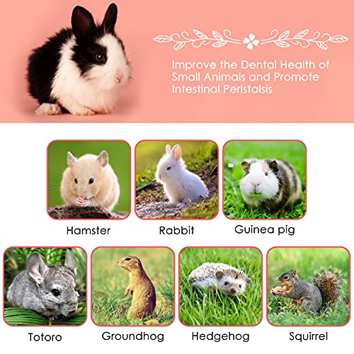 ERKOON Natural Apple Sticks 500g (1.1lb) Small Animals Molar Chew Toys Apple Branch Chew Treats for Hamster Rabbit Chinchilla Bunny Guinea Pig Squirrel (Pack of 2) - size: 1.1 Pound (Pack of 2)