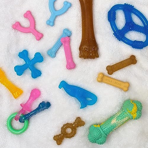 Nylabone Puppy Chew Teething Bone and Ring Bone Dog Chew Toys, 2 Count - color: Ring Bone & Teething Bone, size: X-Small