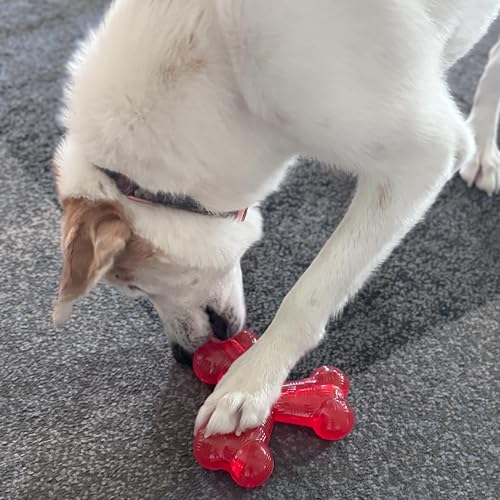 SPOT Play Strong Trident Bone - Durable TPR Long Lasting Dog Chew for Aggressive Chewers, Hole for Treats, Virtually Indestructible Toy for Large Dogs & Puppies up to 90lbs - 6 inch - style: Trident Bone