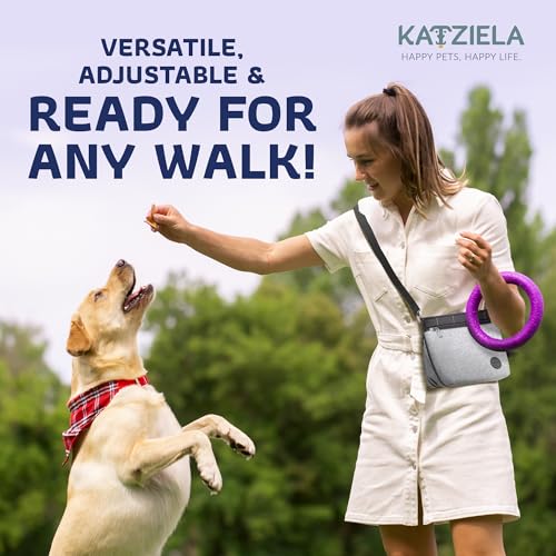 Katziela Expandable Pet Treat Pouch - Hands Free Dog Treat Pouch, Quick Access Magnet Closure - Anti Spill Dog Treat Bag - Treat Pouches for Pet Training, Adjustable Shoulder Strap & Belt Clip (Grey) - color: Grey