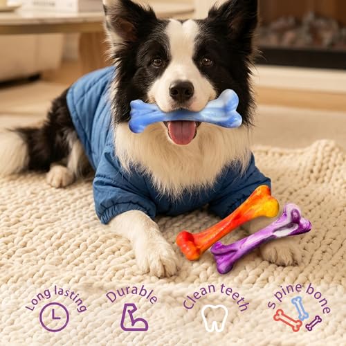 3 Pack Dog Chew Toys for Aggressive Chewers, Tough Bone