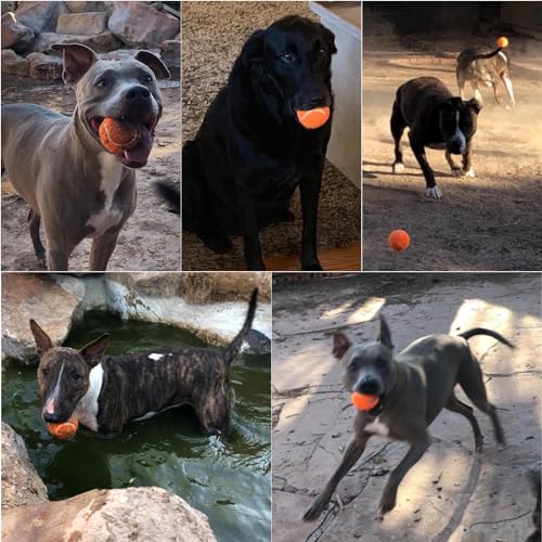 Tennis Balls for Dogs - Squeaky Bouncy Ball Toys 2.5 inches 12 Pack for Indoor Playing and Outdoor Interactive Fetch Training