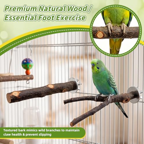 8 Pcs Natural Wood Bird Toys & Perches Set for Cages - size: Bird Toys & Perches Set