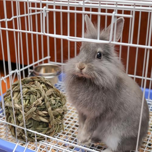 kathson 6 Pcs Rabbit Chew Grass Balls,Bunny Grass Toy Handmade Timothy Hay Ball Small Animal Treats Teeth Grinding Chews for Rabbits Chinchillas Guinea Pigs Hamsters Mice Gerbils - color: Green wheat fields
