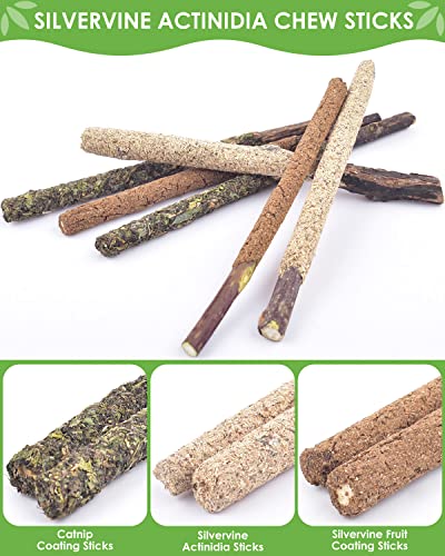 TINDTOP Silvervine Chew Sticks for Cats, 12 Pack Natural Catnip Chew Toys - color: 12 Pack
