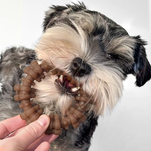 Nylabone Strong Chew Ring Dog Toy Made with Real Beef & Chicken, Small Dogs - color: Textured Ring, size: Small