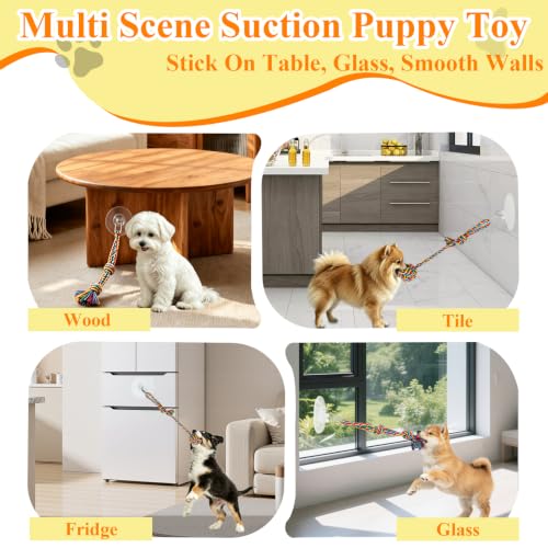Flirt Pole for Dogs & Suction Cup Dog Tug Toy Heavy Duty, Interactive Chase & Tug of War Teaser Wand with Detachable Replacement Knot Ball and Rope Chewing Toys Flirt Stick