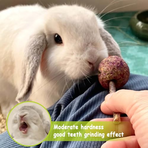 kathson 16PCS Rabbit Timothy Hay Treats Sticks,Interactive Bunny Lollipop Chew Sticks,Natural Guinea Pigs Chewing Treats Molar Teeth Toys for Small Animals,Chinchilla,Hamster,Gerbil - color: 16