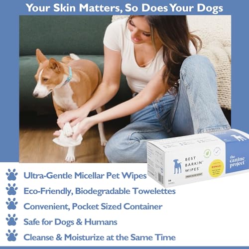 Best BARKIN' Wipes – On-The-Go Individual Micellar Water Dog Wipes - 50Pk - size: 50-Pack
