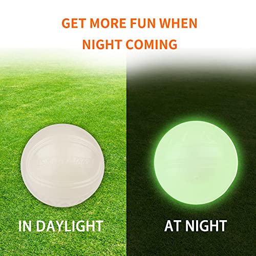 SKIPDAWG Interactive Dog Glow Balls, Rubber Balls Light Up in the Dark, Dog Toys Squeaky Ball Durable TPR Light Weight, Bouncy Glowing Ball Size 2.5 Inches, 2 Pack