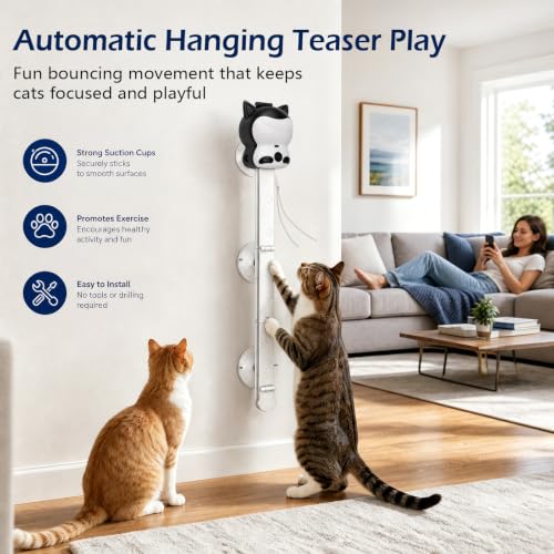 2-in-1 Electric Cat Toy, Automatic Interactive Cat Wand with 2 Play Modes (Track Chase & Bounce), Indoor Exercise Toy for Kittens & Adult Cats
