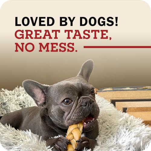 Redbarn Pet Products Collagen Braid Small 3-Count Beef Collagen Chews for Dogs - Joint Health Support with Collagen Peptides, Alternative to Traditional Rawhide - size: 1 Ounce (Pack of 3)