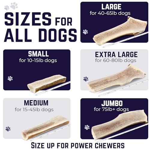 Devil Dog Pet Co Split Elk Antlers for Dogs, XL, Long Lasting - style: split - XL - 1 Pack