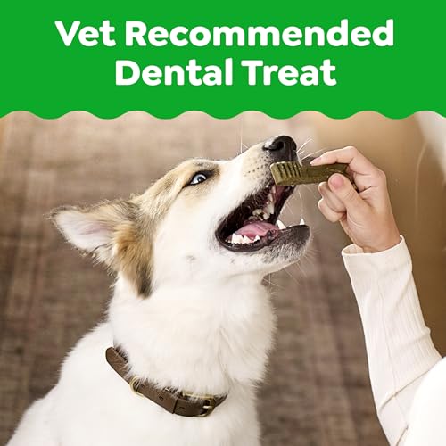 Greenies Petite Natural Dental Dog Treats, Original Flavor, 90 Count - size: 90 Count (Pack of 1)