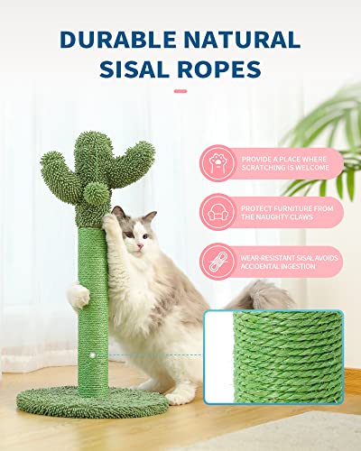Made4Pets Cactus Cat Scratching Post for Indoor Cats with Plush Ball, 25.6" - size: Medium - 25.6"