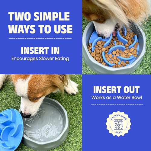Slow Feeder Dog Bowl – Anti-Gulping Puzzle Feeder for Dogs, Slow Eating Dog Bowl with Removable Silicone Insert, Non-Slip, BPA-Free, for Small & Medium Dogs (Blue)