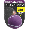 Playology Squeaky Chew Ball Dog Toy - Jumbo, Bacon Scent - size: Jumbo, style: Bacon