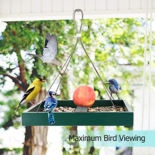 Solution4Patio 360° Viewing Outdoor Platform Bird Feeder, Rustproof Mesh - style: Green Platform