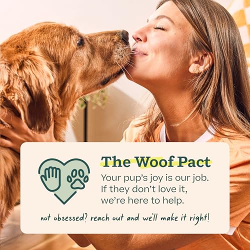 WOOF Pupsicle Refill Pops for Calming - Long-Lasting Refills for the Pupsicle Toy to Promote Calm - Calming Dog Treats - Magnesium for Dogs- XL Pops - 5 Count - 2 Pack - size: X-Large 10 Count