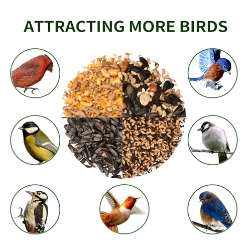 Solution4Patio Squirrel-Proof Cedar Hopper Bird Feeder, Dual Suet Holder - style: Rectangle