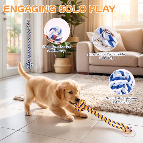 Dog Rope Toy with Suction Cup Interactive Tug of War Toy 2Pcs - size: suction cup