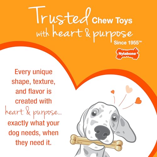 Nylabone Puppy Pacifier Chew Toy, Teething Toys for Puppies up to 25 lbs - color: Pacifier, size: 1 Count (Pack of 1)