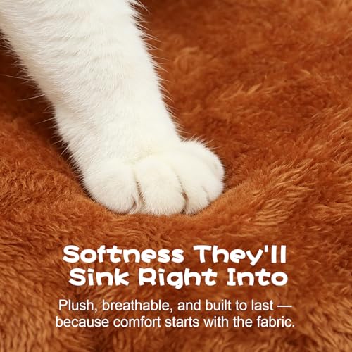 Cat Bed Cave with Pillow & Cat Toys, Cat Bed for Indoor Cats & Dog - size: M-17.7IN