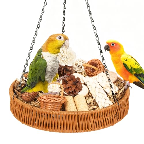 Bird Toys Natural Bird Foraging Toys Parrot Shredding Toys(Large)