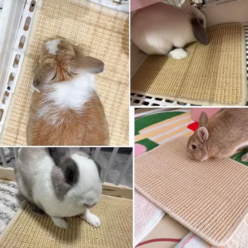 2PCS Rabbit Scratch Mat, Natural Bunny Pad Claws and Teeth Care, 16x12 - size: 16"x12"
