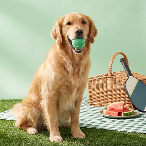 Playology Fun Fetch and Chew Dog Toy Box - Jumbo, Hot Dog/Watermelon Scents - size: Jumbo